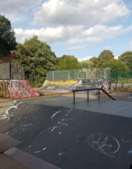 peckham rye skatepark