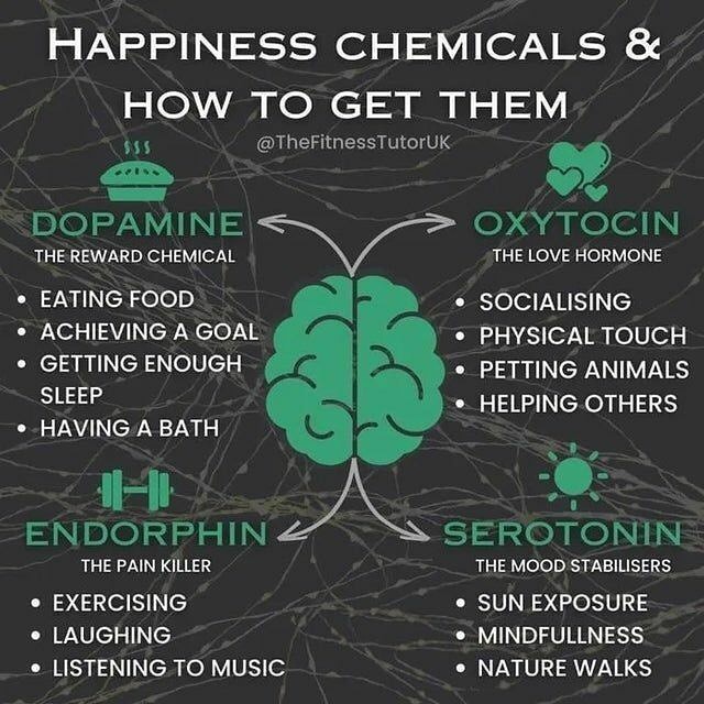 happiness chemicals & how to get them